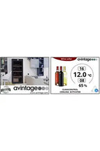 Cave multi-températures Avintage DVP305G
